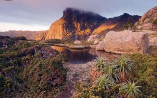 Остров Тасмания, Австралия: подробная информация, история, достопримечательности и интересные факты Природа острова тасмания