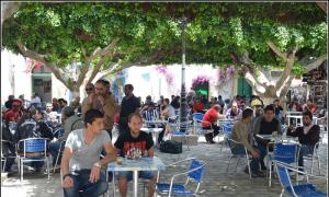 Все об отдыхе в Тунисе: отзывы, советы, путеводитель